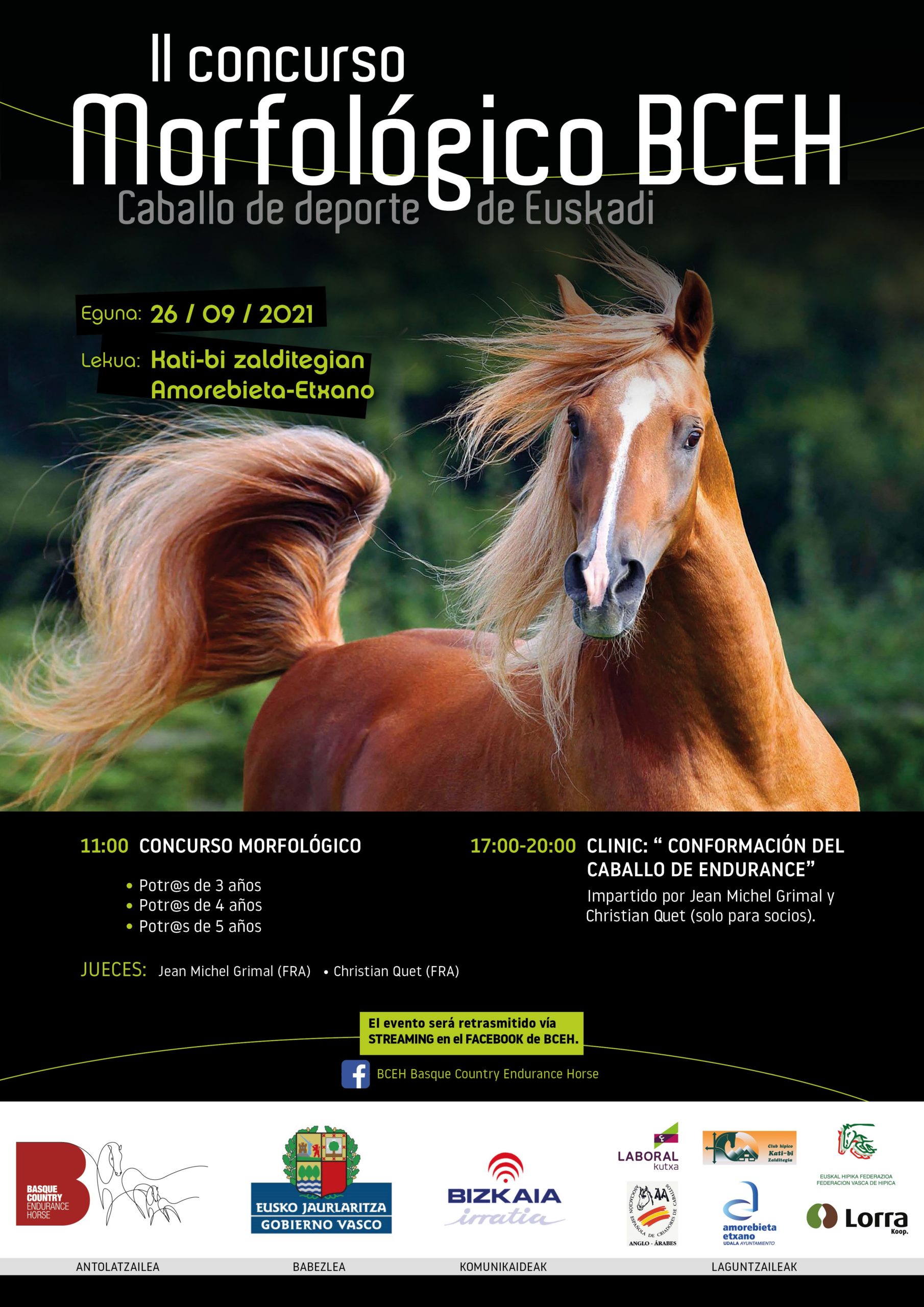 II. Concurso Morfologico Caballo de deporte de Euskadi,_BCEH
